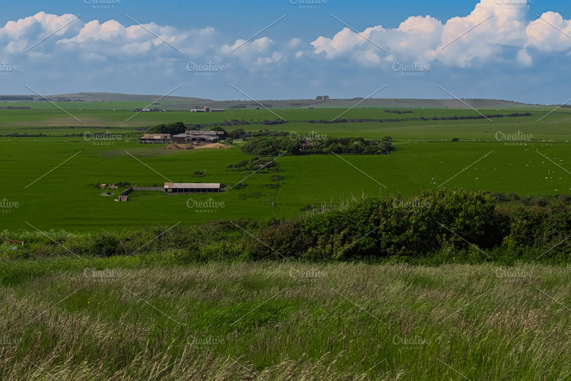 Rural farm buildings surrounded by vast green fields under a blu, a Photo by Studio ANNA
