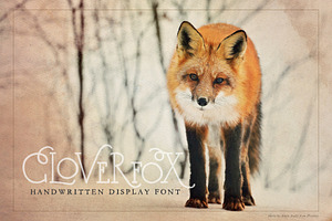 CloverFox Display Font