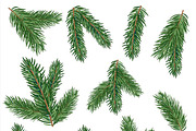 Fir tree branches vector set, a Decorative Illustration by MalinaShop (Thumbnail 3 of 5)