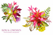 Tropical collection. Summer design., a Decorative Illustration by Lisima (Thumbnail 14 of 19)