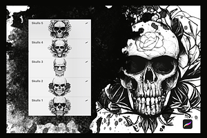 Human Skulls Procreate Stamps.