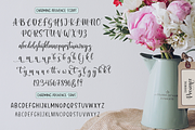 Charming Provence, a Script Font by Larin Type Co. (Thumbnail 9 of 10)