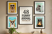 48 Funny Animal Photo Wall Art, an Animal Photo by Image for Sale (Thumbnail 1 of 4)