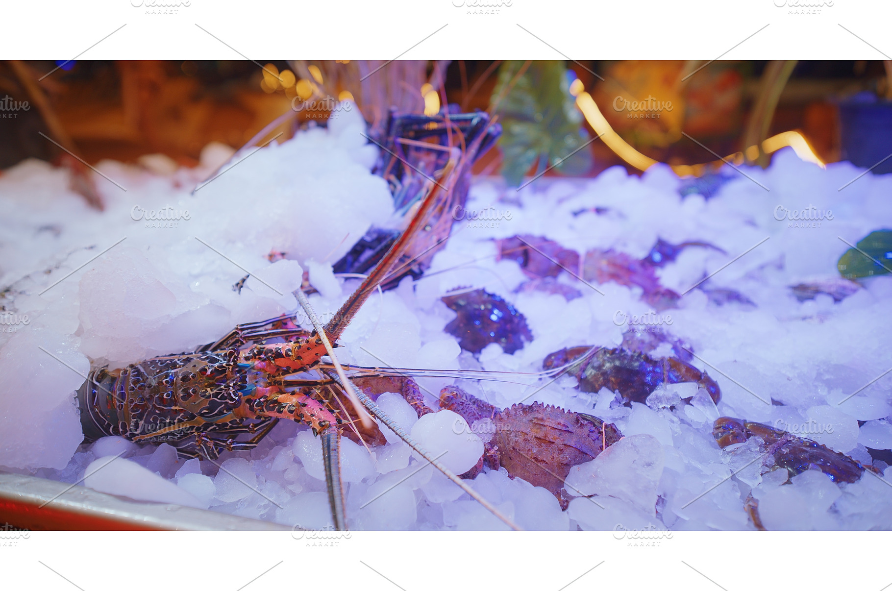Lobsters and seafood displayed on, a Food & Drink Photo by Our Amazing World