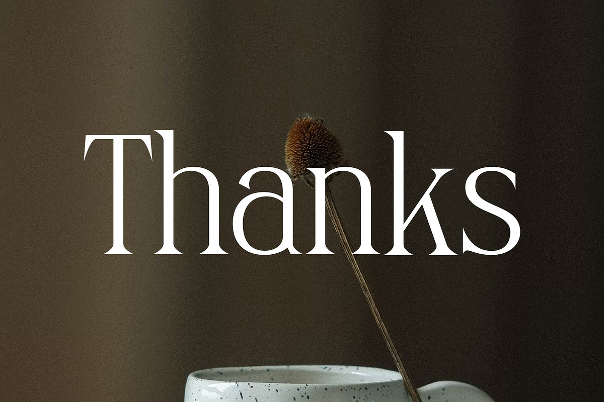 Naftegfo A New Modern Serif, a Serif Font by Storytype Studio (Photo 14 of 15)