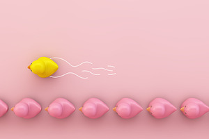 Yellow rubber duck advancing containing duck, rubber, and pink
