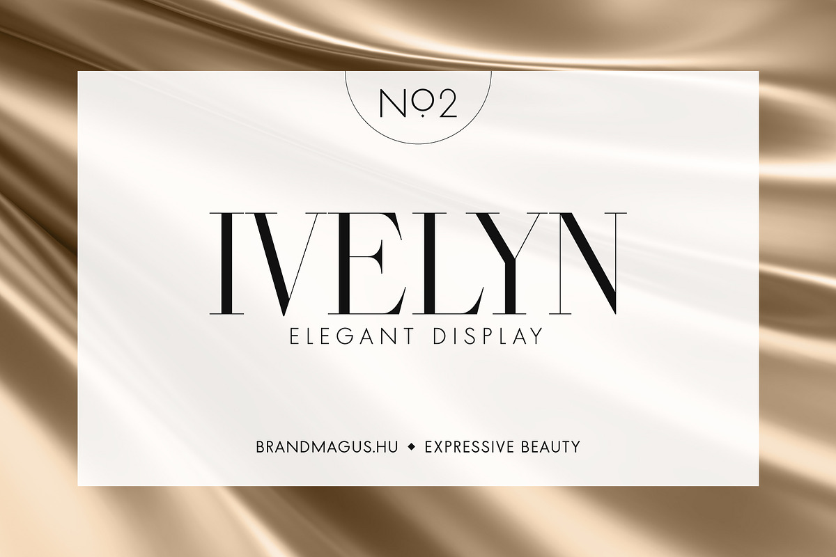 Ivelyn - Elegant Display Font, a Serif Font by Brand Mágus (Photo 1 of 8)