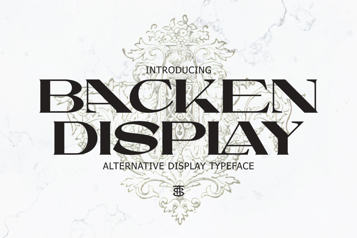 Backen - Bold Serif, a Serif Font by tebaltipislab (Photo 1 of 10)