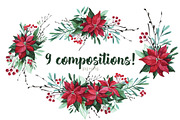 Watercolor Christmas flowers, a Decorative Illustration by YuliaBiser (Thumbnail 5 of 10)