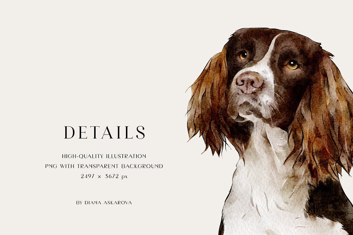 Dog breed clipart illustration set, an Animal Illustration by Diana Askarova Art (Photo 6 of 8)
