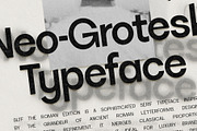 SLTF La Villa - Neo-Grotesk Typeface, a Sans Serif Font by SilverStag Type Foundry (Thumbnail 2 of 20)