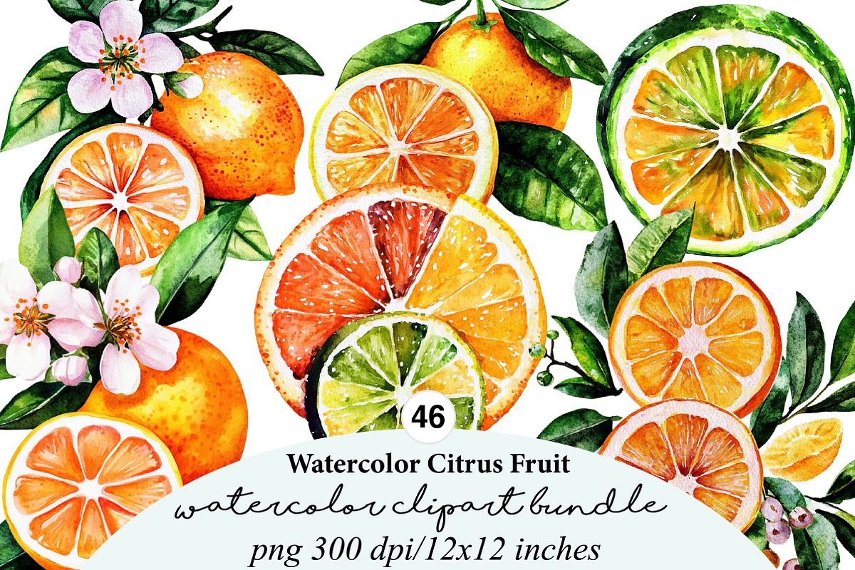 46 watercolor-citrus-fruit-clipart, an Illustration by GatewayDesign (Photo 1 of 9)
