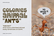 Animalyus Font, a Handwritten Font by Haws.std (Thumbnail 4 of 5)