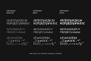 Takeaways - Handwritten Display Font, a Handwritten Font by Typeparties (Thumbnail 10 of 10)