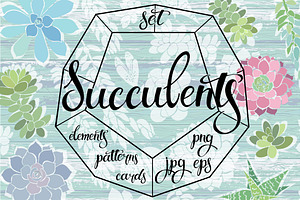 Succulents.