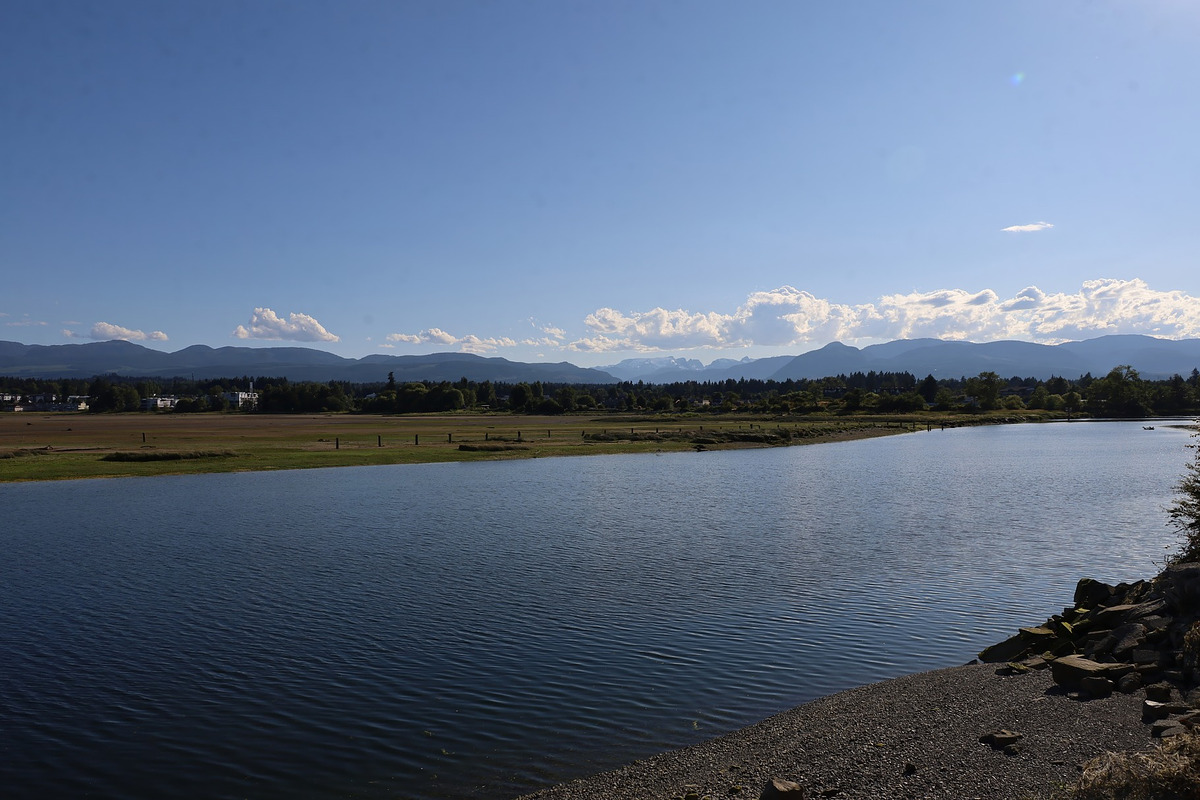 Courtenay slough, Vancouver island, Canada, a Nature Photo by uncreative (Photo 1 of 2)