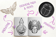 Insect and Forest Lineart, bugs SVG, an Animal Illustration by Sonch' s Curiosities (Thumbnail 2 of 2)