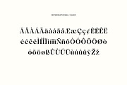 Borniarte Elegant Serif Font, a Serif Font by UICreative (Thumbnail 8 of 13)