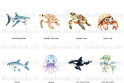 Sea Animals Clipart, Clown Fish PNG, an Animal Illustration by BrushstrokeArtGB (Thumbnail 6 of 9)