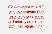 Picabro Serif Font, a Serif Font by Heinzel Std (Thumbnail 2 of 11)