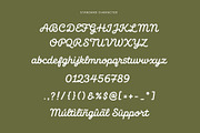 Beach Grove - Script Monoline Font, a Script Font by Elmous (Thumbnail 10 of 11)