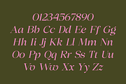 Chilton - Family Serif, a Serif Font by Marvadesign (Thumbnail 9 of 12)