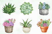 Watercolor Succulent Clipart, an Illustration by Creative Art (Thumbnail 7 of 10)