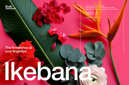 Ikebana Botanical Asset Collection
