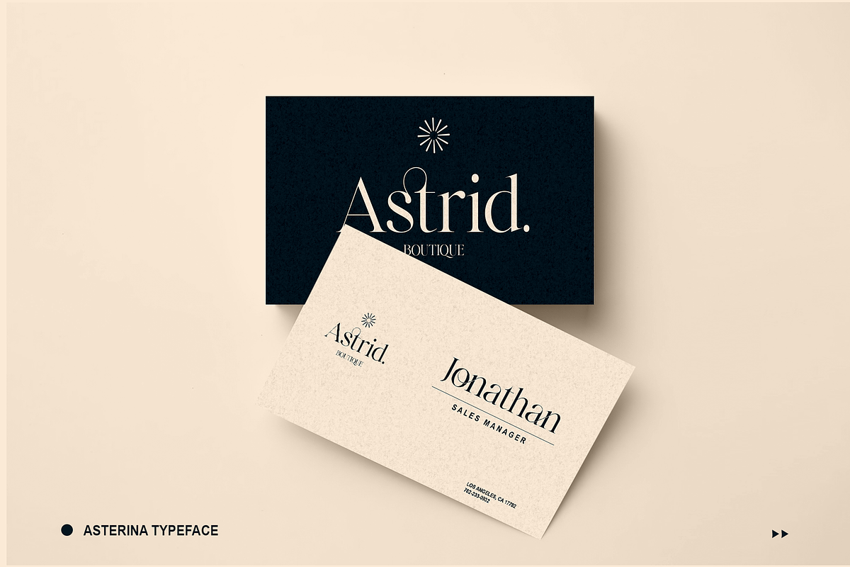 Elegant Ligature Serif Font, a Serif Font by Bekeen.co (Photo 4 of 10)