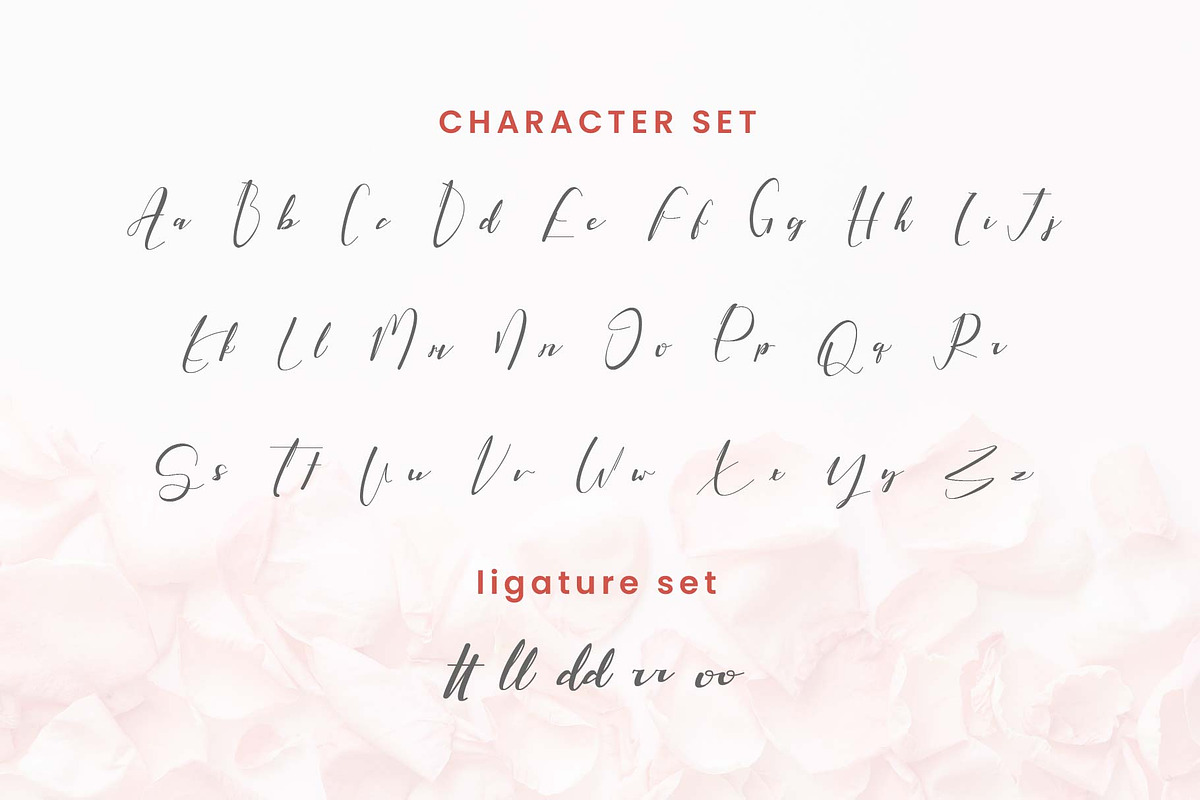 Little Fellie, a Handwritten Font by Dhwstd (Photo 5 of 6)