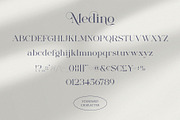 Medino // Modern Stylish Serif, a Serif Font by BrandSemut (Thumbnail 10 of 10)
