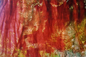 Dark red abstract.Sweet rosy dark