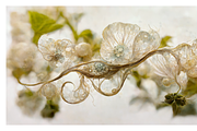 Deli (2) Collection · Textured Bloom, a Decorative Illustration by milatovar (Thumbnail 16 of 16)