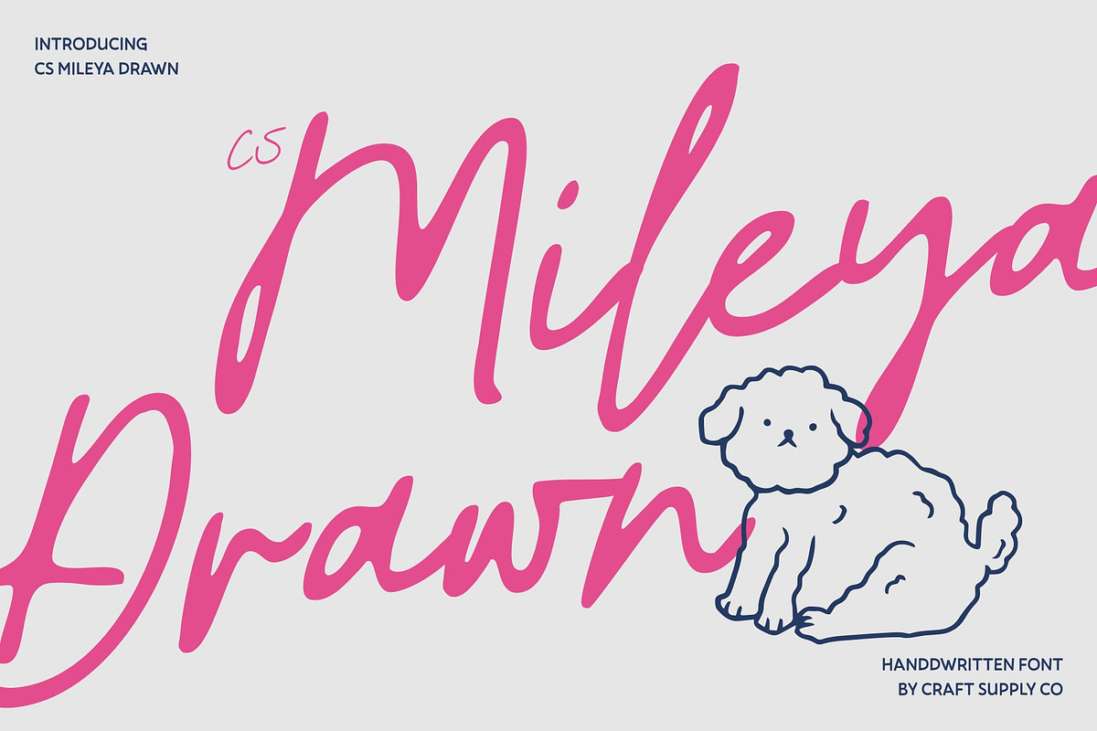 CS Mileya Drawn, a Script Font by Craft Supply Co. (Photo 1 of 8)