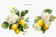 Watercolor Lemons & Hydrangeas, a Decorative Illustration by ThaismotaCreativeCo (Thumbnail 4 of 12)
