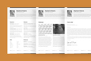 Professional Resume Set 1 Horizontal, a Resume Template by DEFNST (Thumbnail 8 of 9)