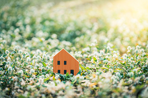 Orange house model  in green field.