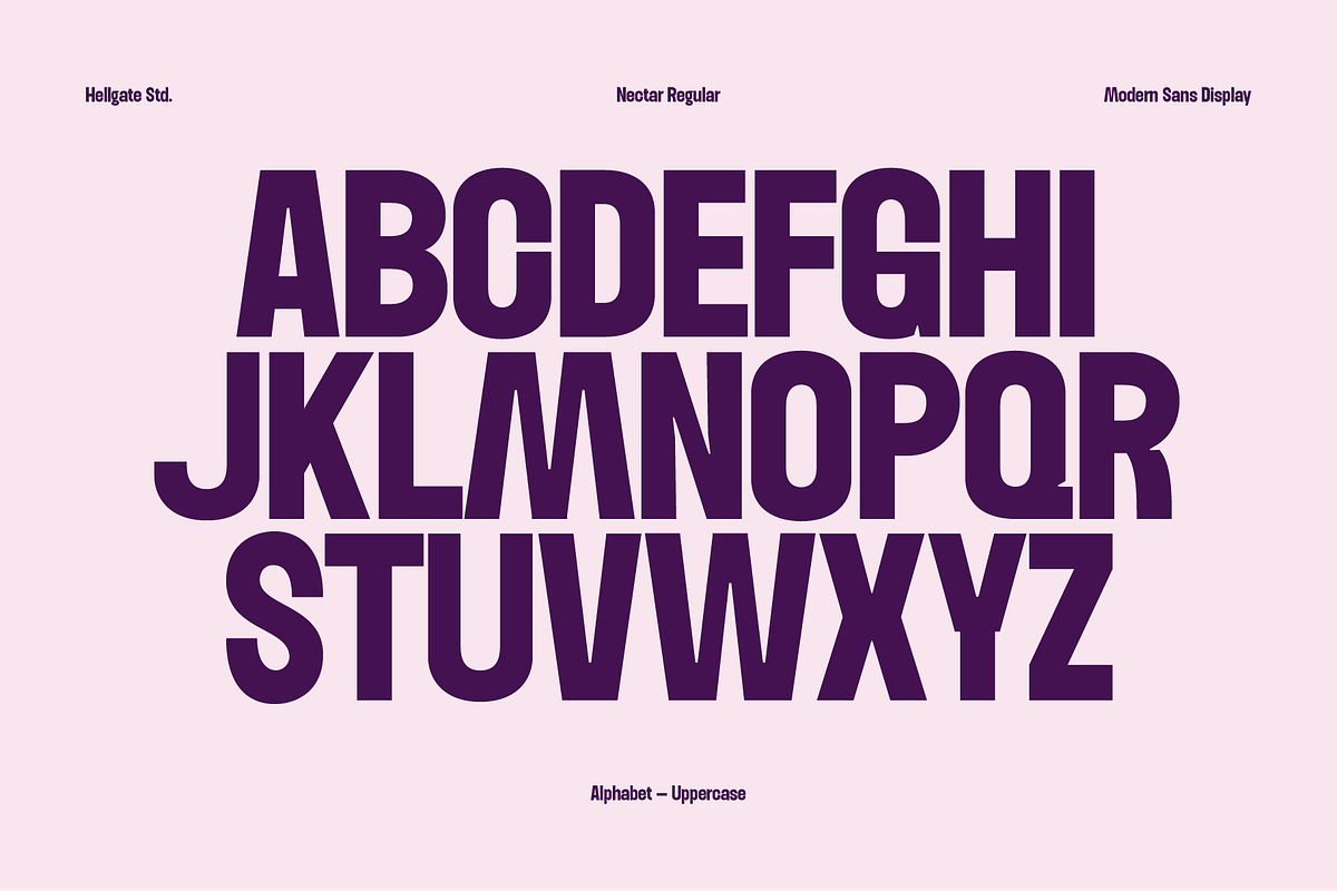 Nectar Modern Sans, a Sans Serif Font by GRVS Studio (Photo 3 of 7)