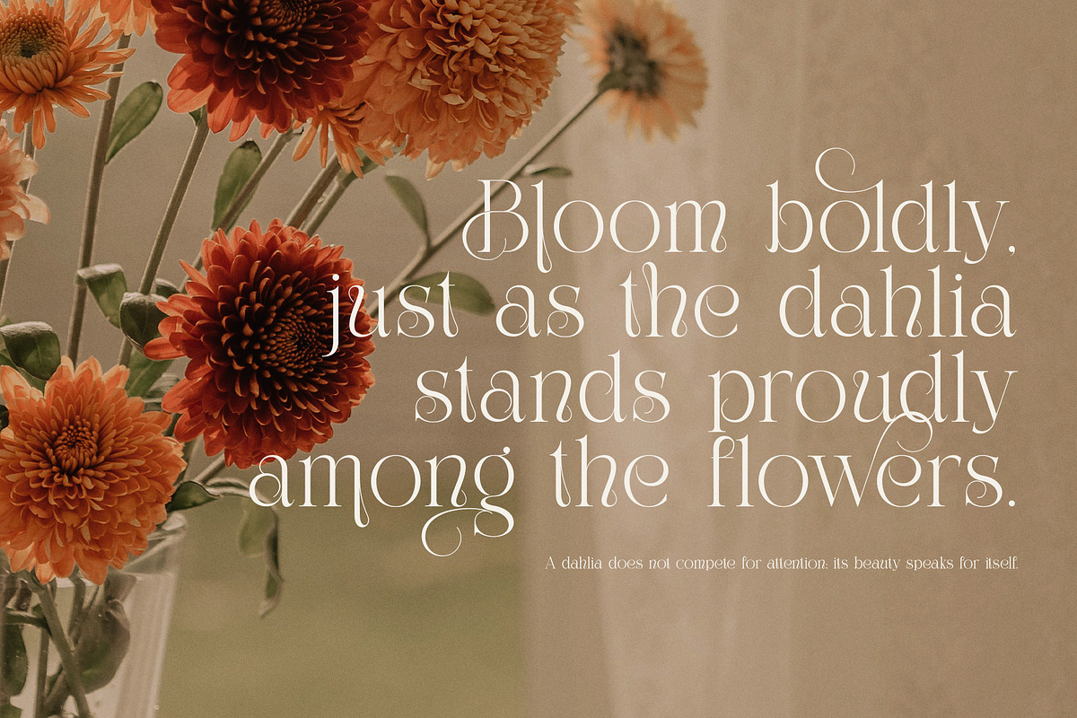 The Simple Elegant Serif Font, a Serif Font by Perfectype (Photo 4 of 8)