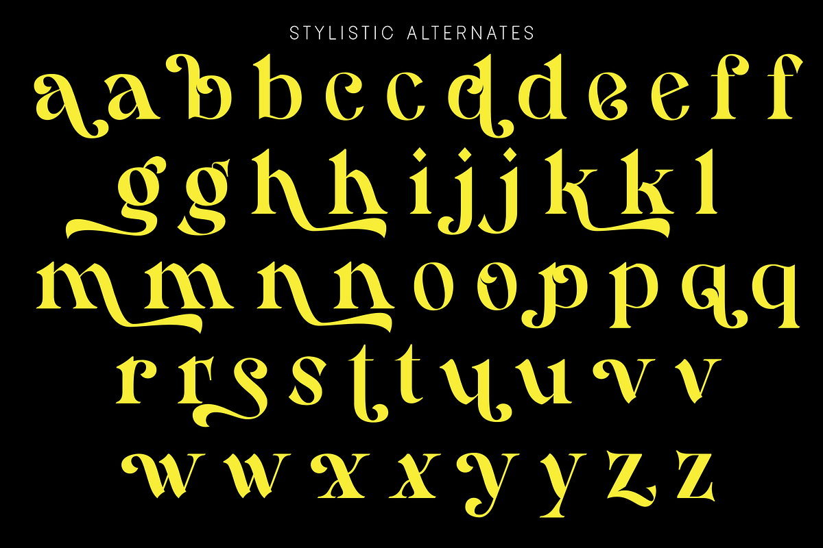 Hamachi Font, a Serif Font by 177Studio (Photo 7 of 8)