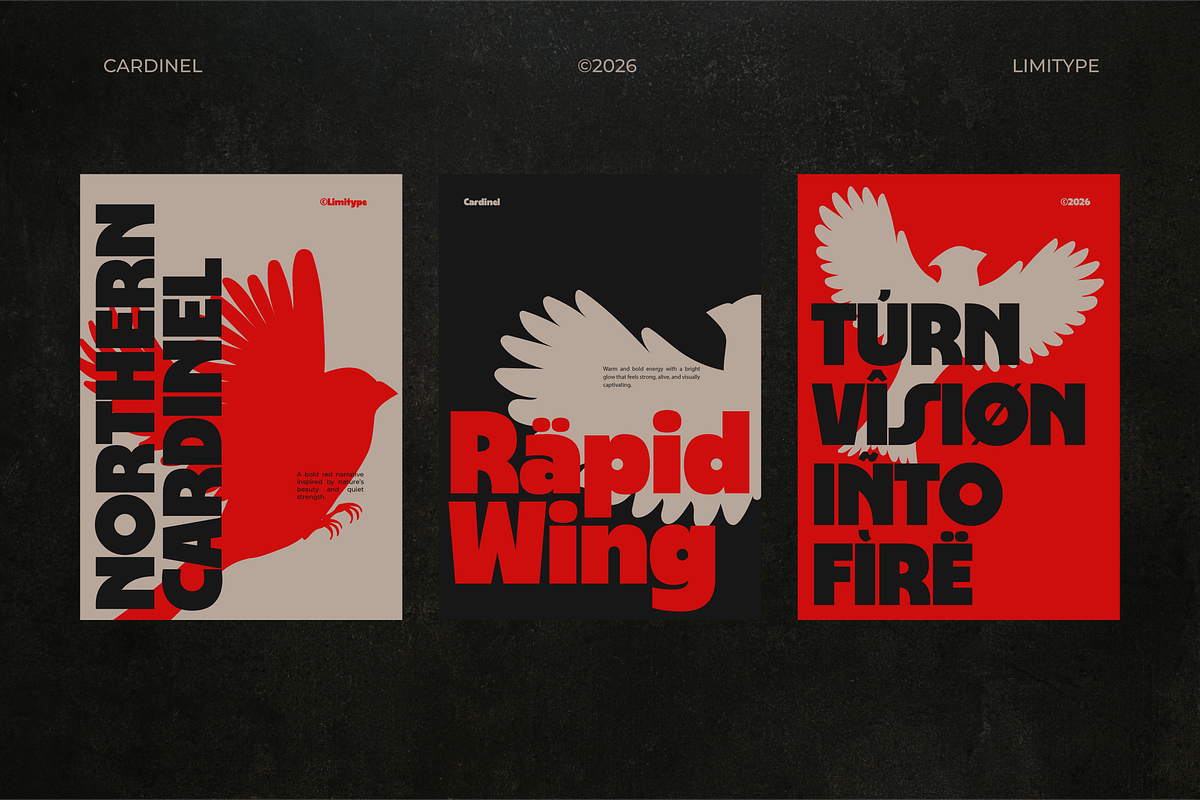 Cardinel - Bold Font, a Sans Serif Font by limitype (Photo 3 of 13)