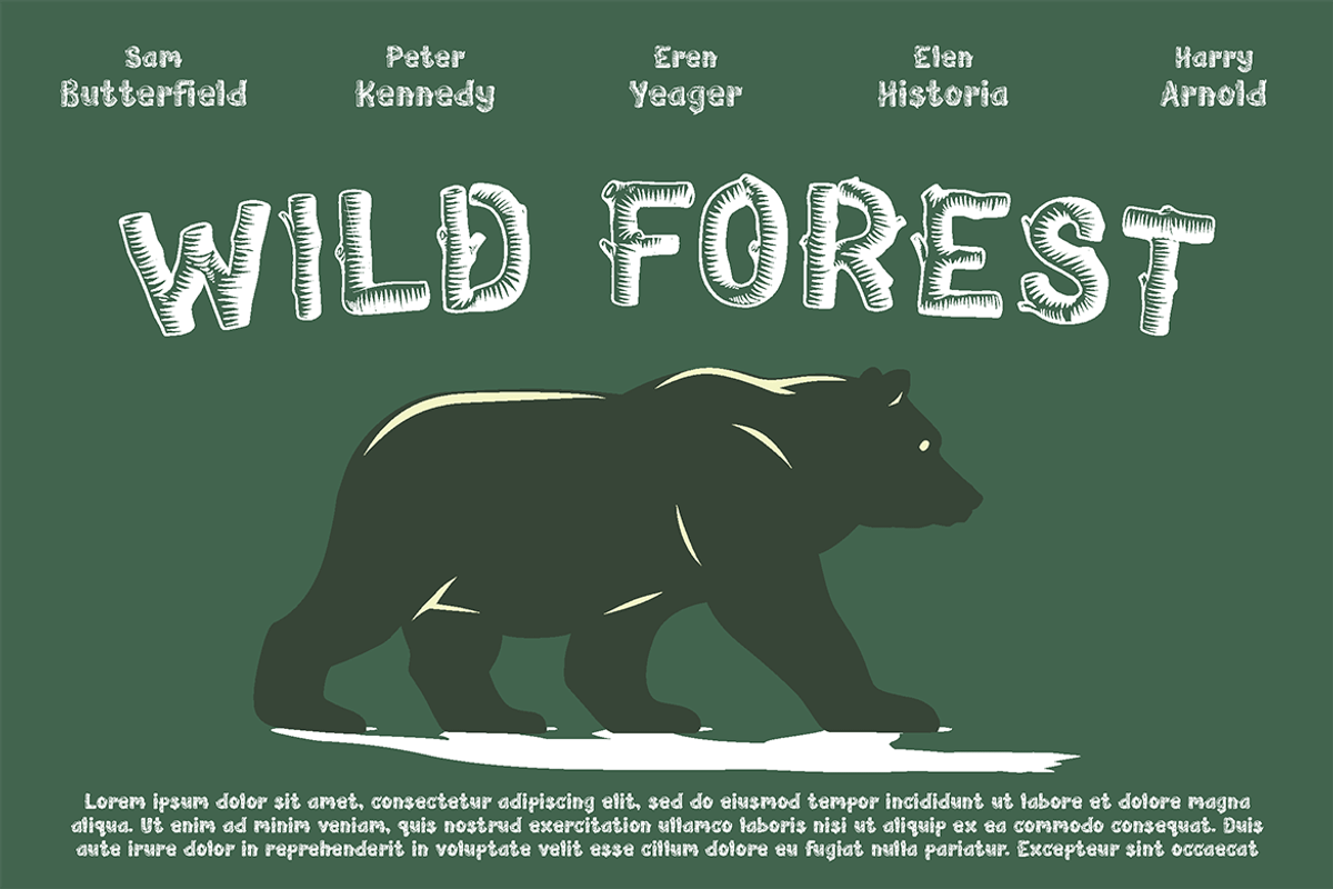 Wooden Log - Kids Font, a Sans Serif Font by tokokoo (Photo 2 of 12)