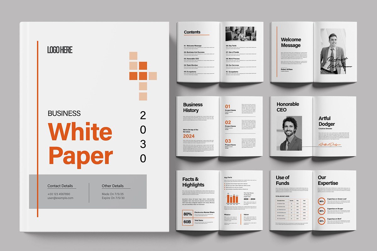 Business Whitepaper with Orange, a Brochure Template by ContestDesign (Photo 1 of 4)