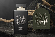 Michelyne Stylish Signature Font, a Script Font by stylishtype.co (Thumbnail 6 of 20)