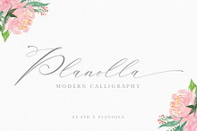 Planolla | Modern Calligraphy