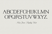 Nina Jean Display Font, a Serif Font by Sylt Type (Thumbnail 3 of 5)