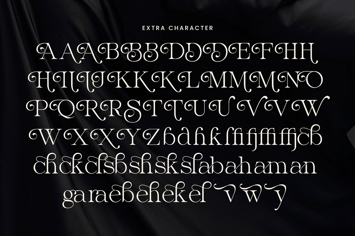 Stylish Logo Font - Bulgary, a Serif Font by Umitype (Photo 7 of 8)