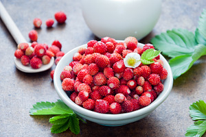 Wild strawberries containing berry, berry fruit, and breakfast