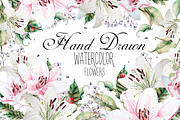 Hand Drawn watercolor flowers lily, an Object Graphic by Knopazyzy (Thumbnail 1 of 6)
