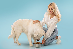 Loving lady petting and feeding her cute golden retriever dog, posing over blue, a Photo by Prostock-Studio